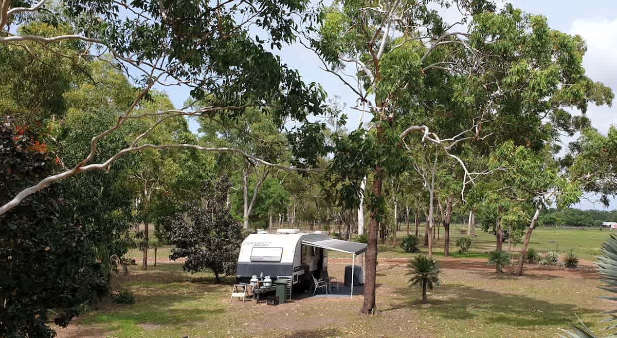 Camp Wallaby