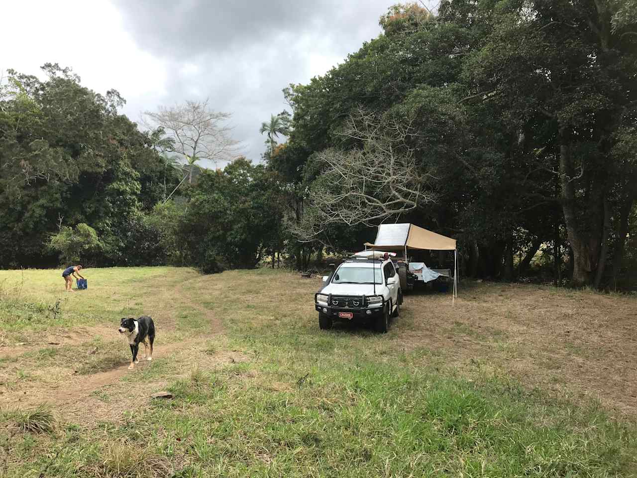 Cattle Camp, Sarina, QLD