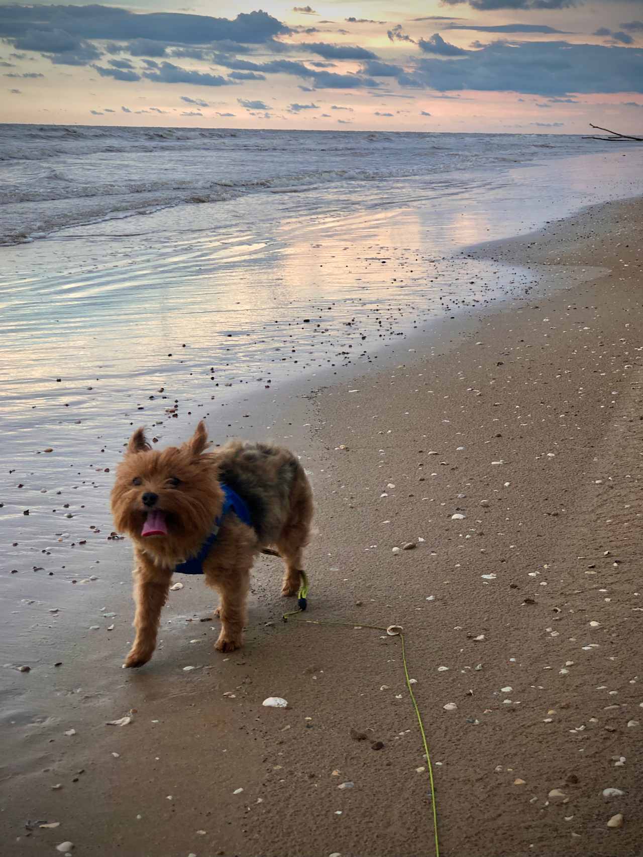 Enjoying the beach during low tide 