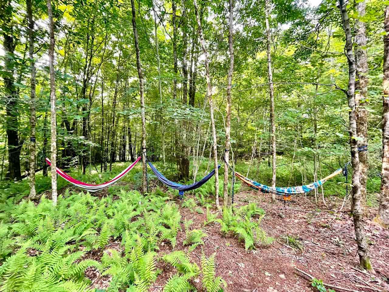 Yurt By The The Berkshires