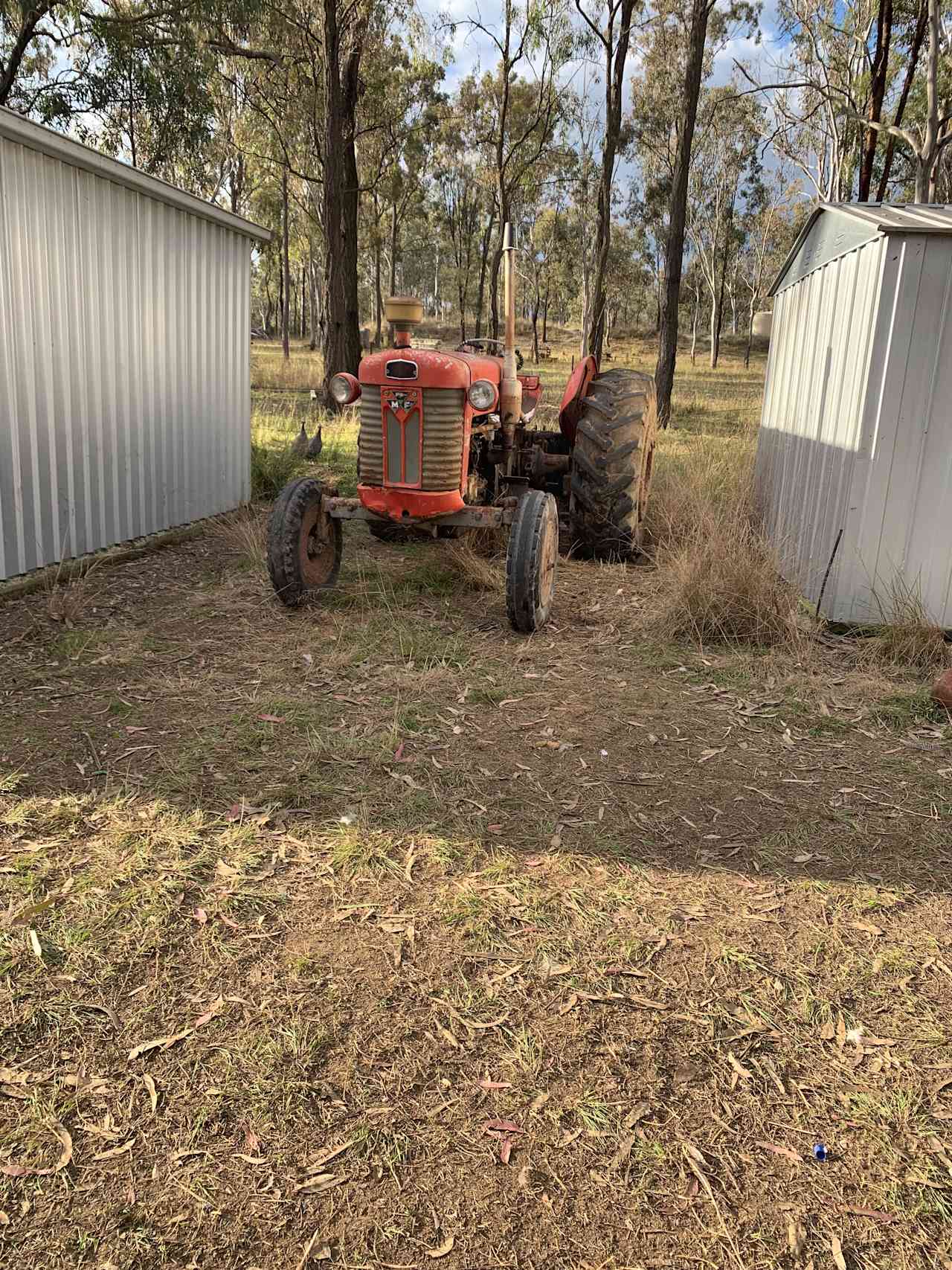 Bandarr Downs Farm