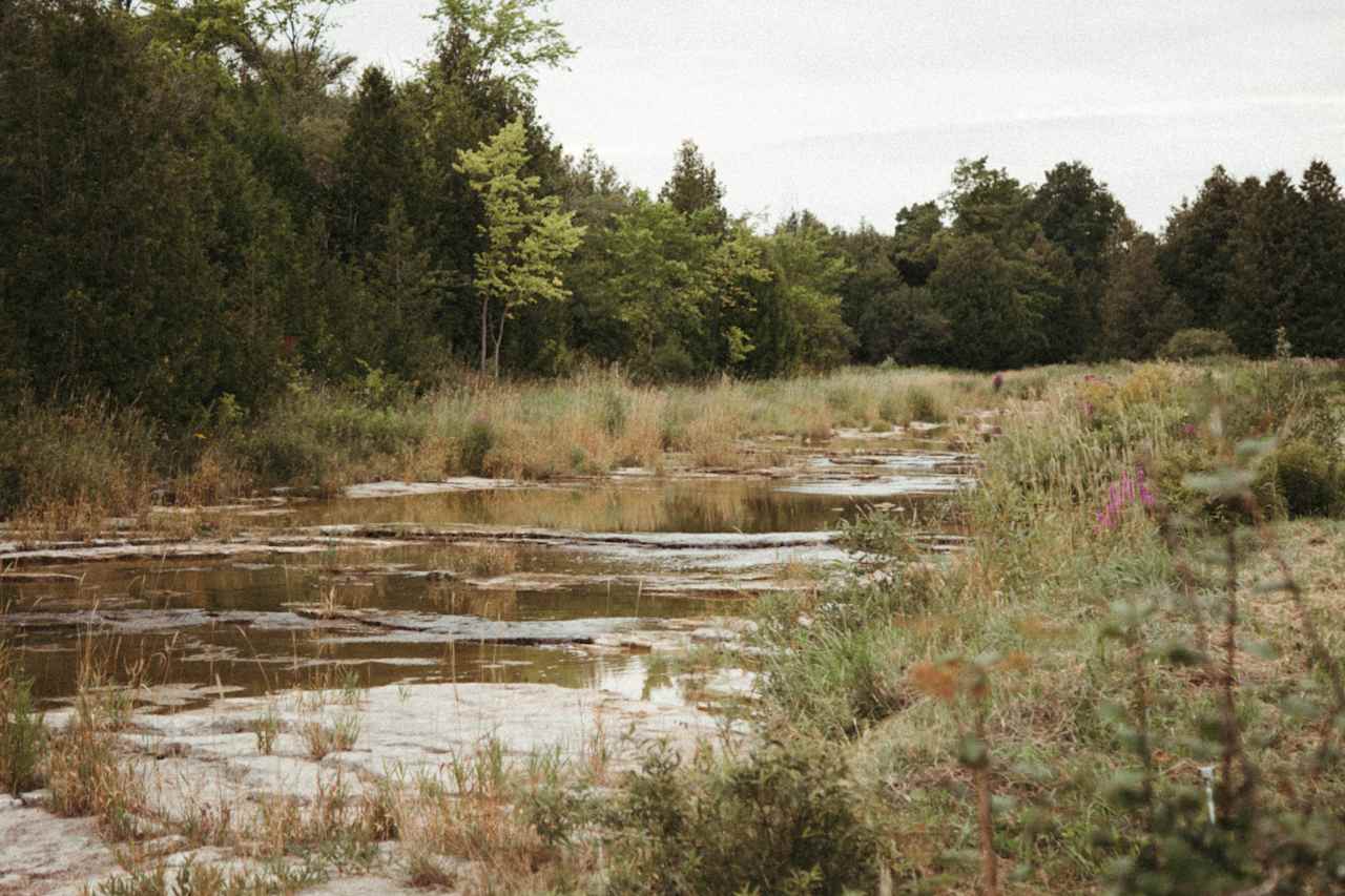 Just a 30 second walk from the bunkie and you're at the creek! Water was low at this time but the trickling sound provided a peaceful backtrack while I was visiting.