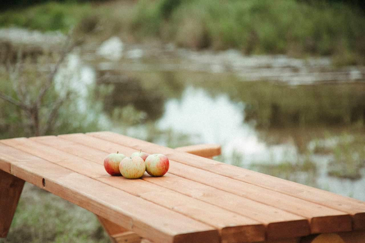 There's a nice picnic table that converts to a bench also along the creek side for easy meals by the water if you want a change of scenery from the bunkie.