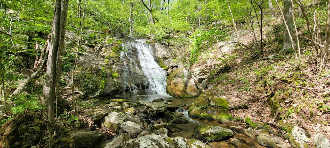 Joe's creek waterfall is a beautiful simple hike  (no camping allowed at the waterfall area)  See our rules for hiking and day use of beautiful area of the property.