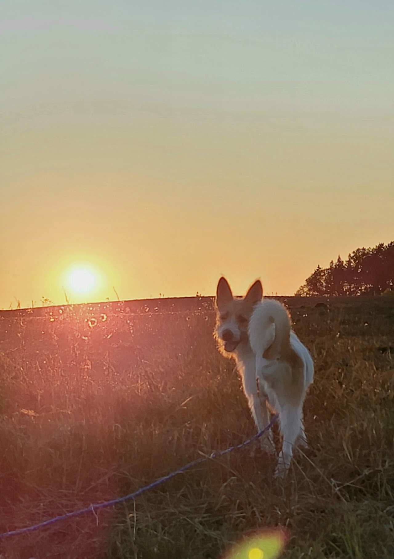 Heading to watch the sunset