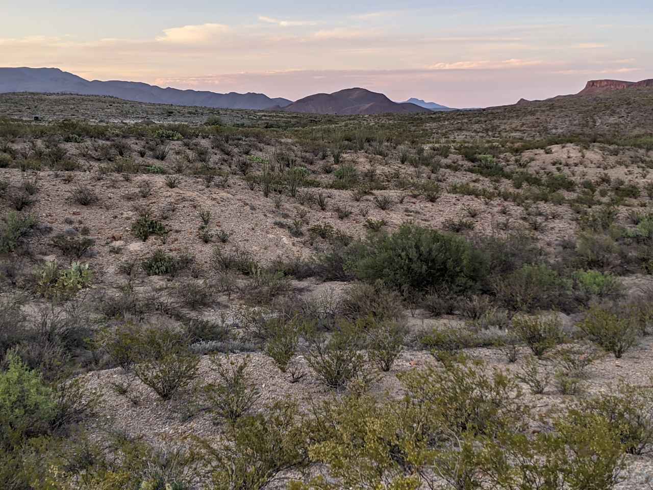 Terlingua lobo Blanco Ranch