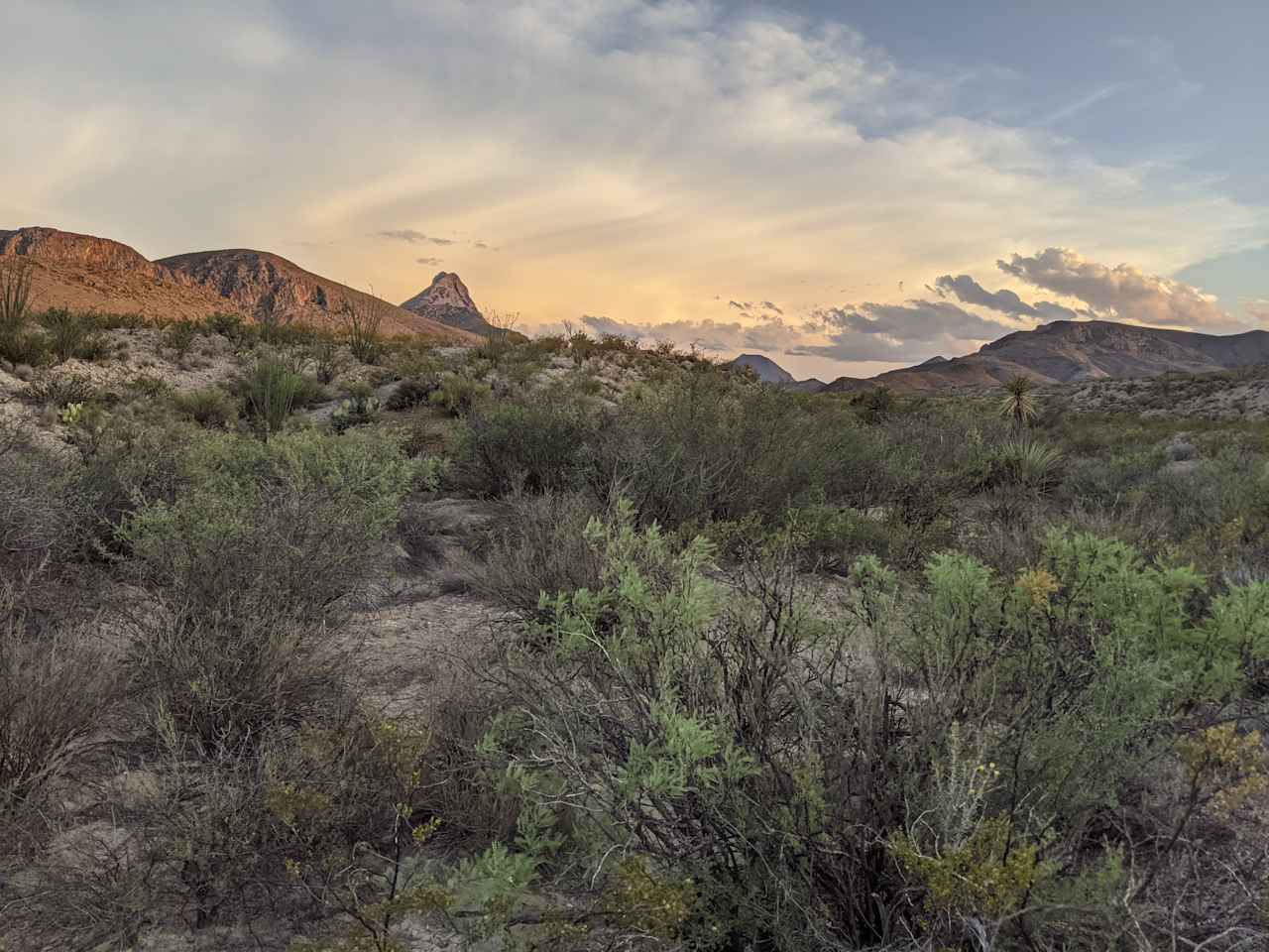 Terlingua lobo Blanco Ranch