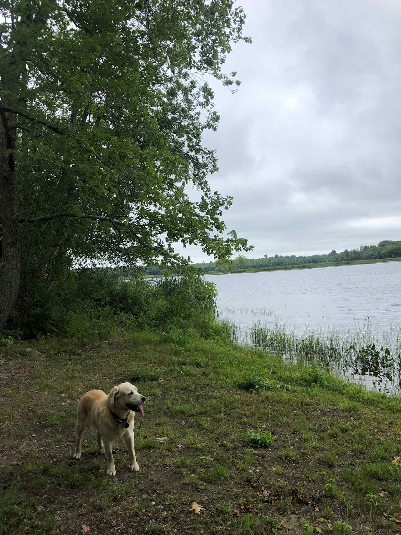 Riverfront access, including a boat launch!  Bina says hi!!! 