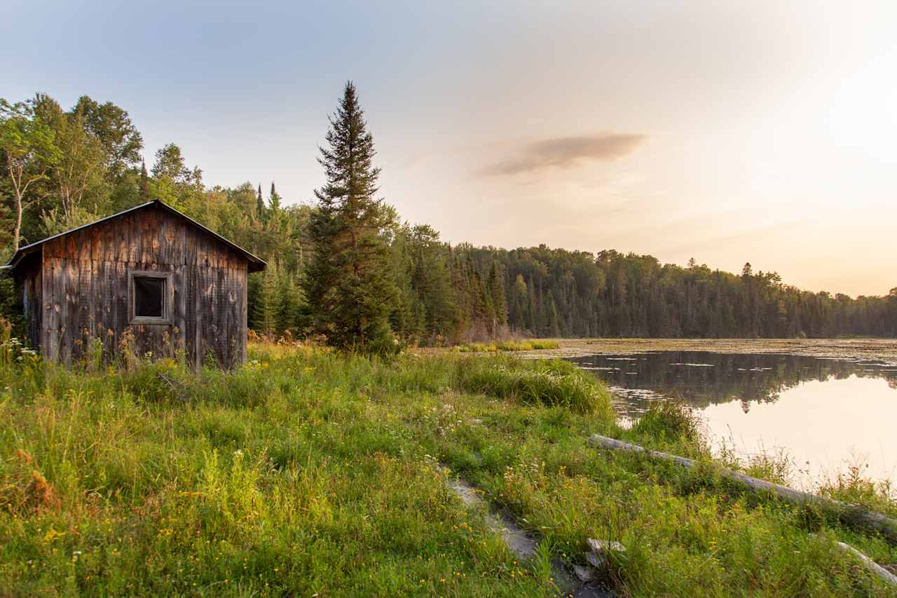 On our hike we came across this beaver pond. It was so peaceful and so beautiful.