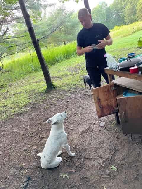 Pup is hoping to get a sip of the incredible coffee