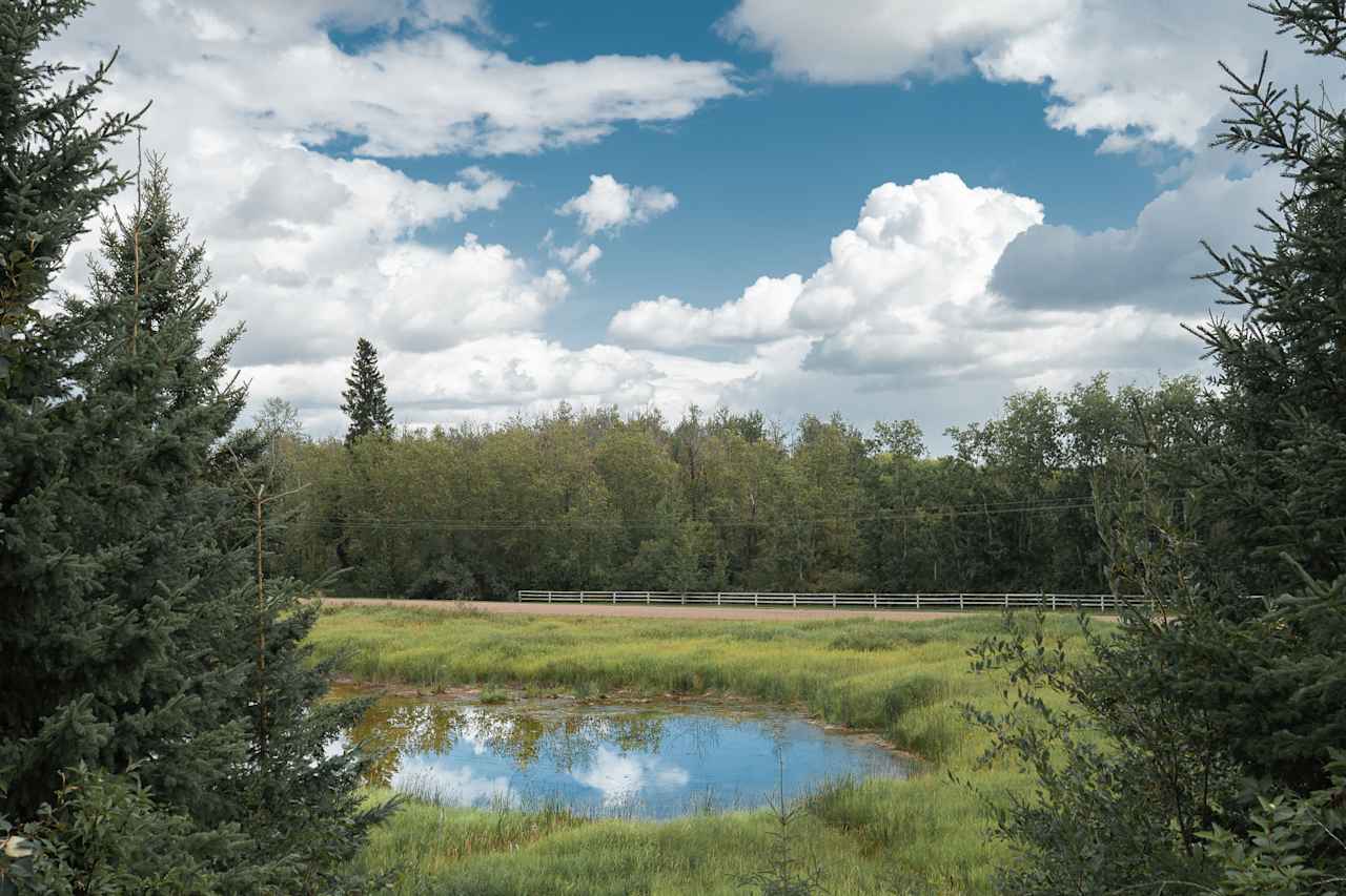 Such a great view overlooking the pond.