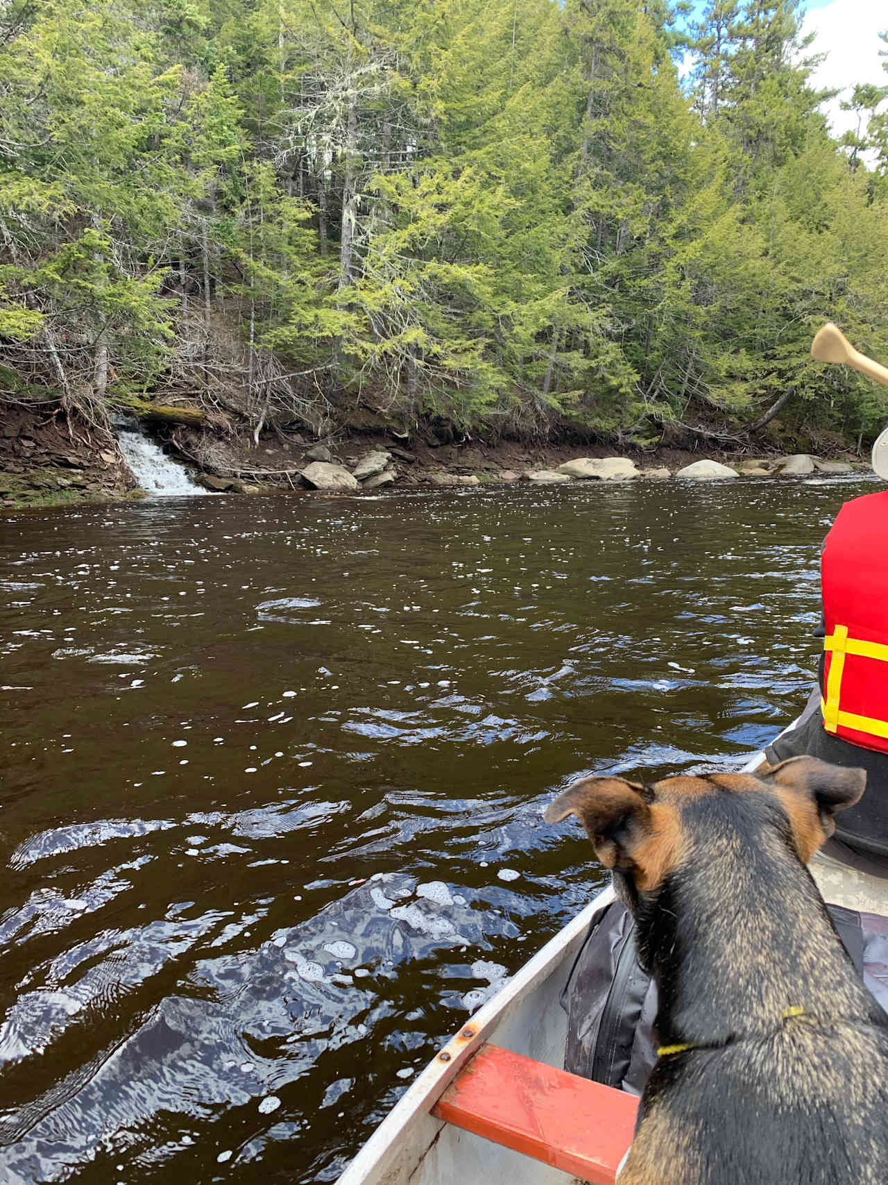 Canoeing early spring months and fall months 