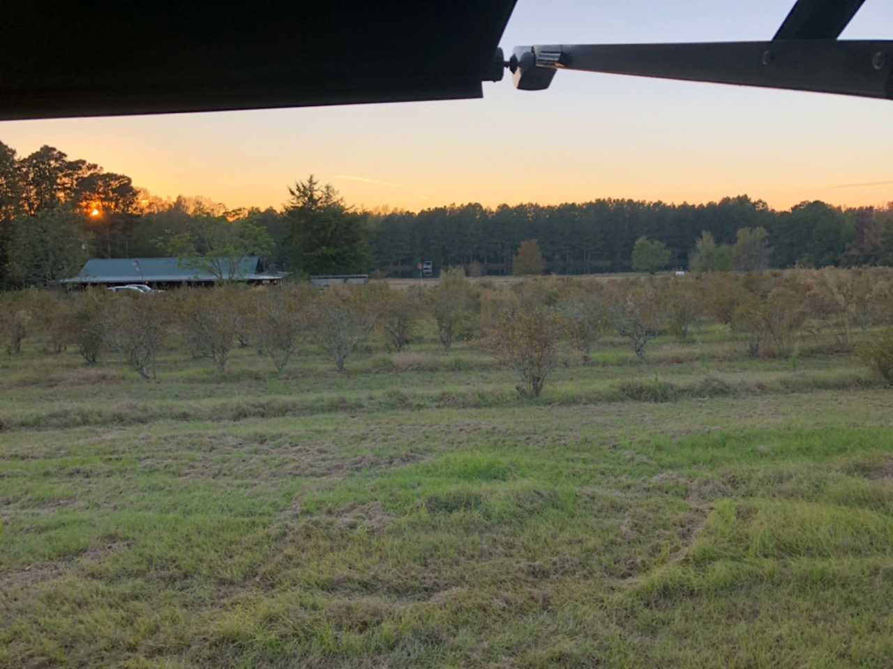 McCain's Family Farm, L.L.C.