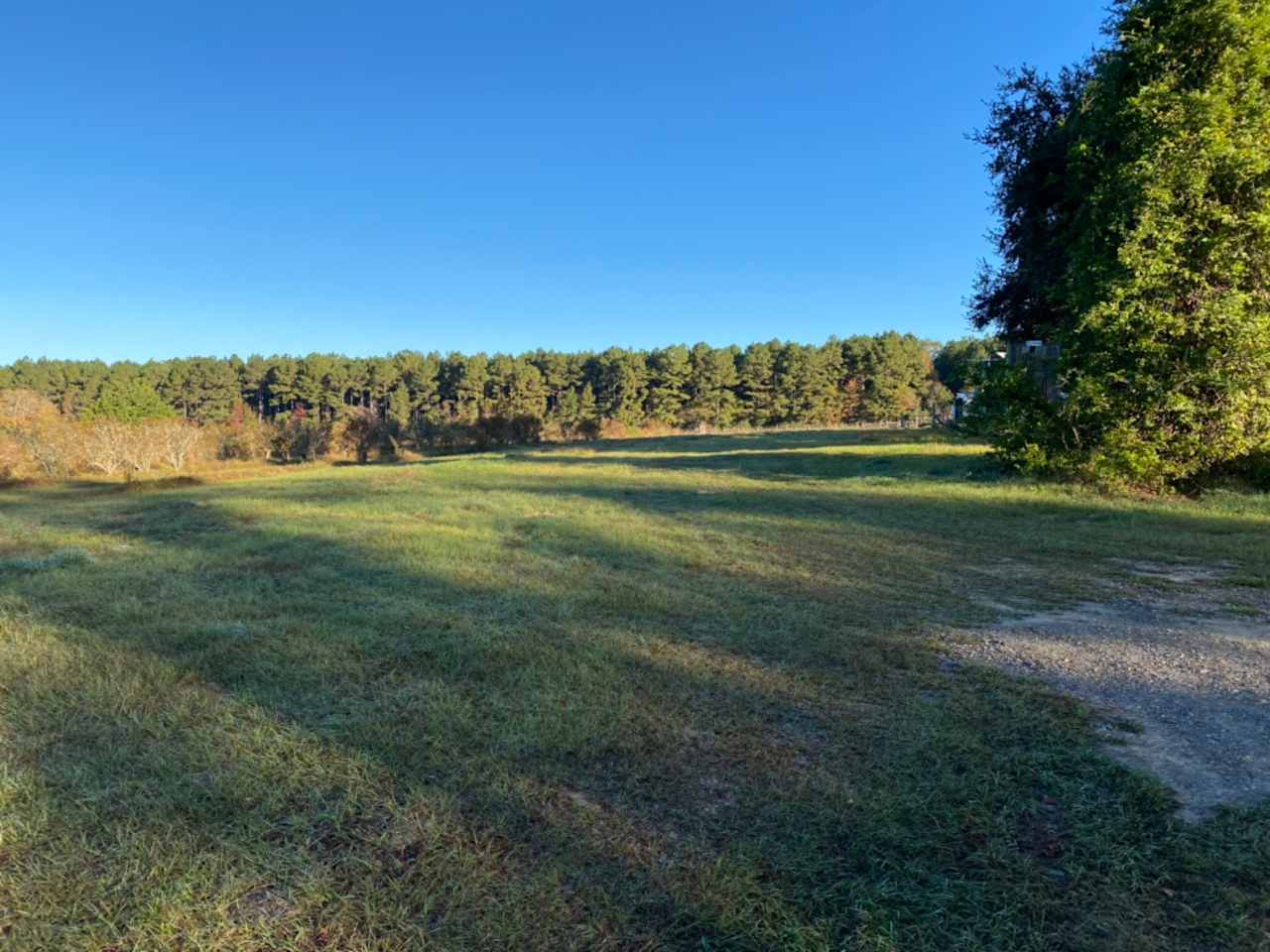 McCain's Family Farm, L.L.C.