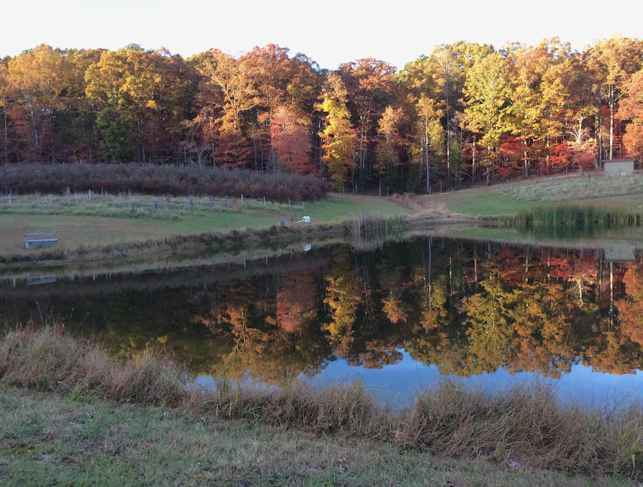 Private meadow and pond