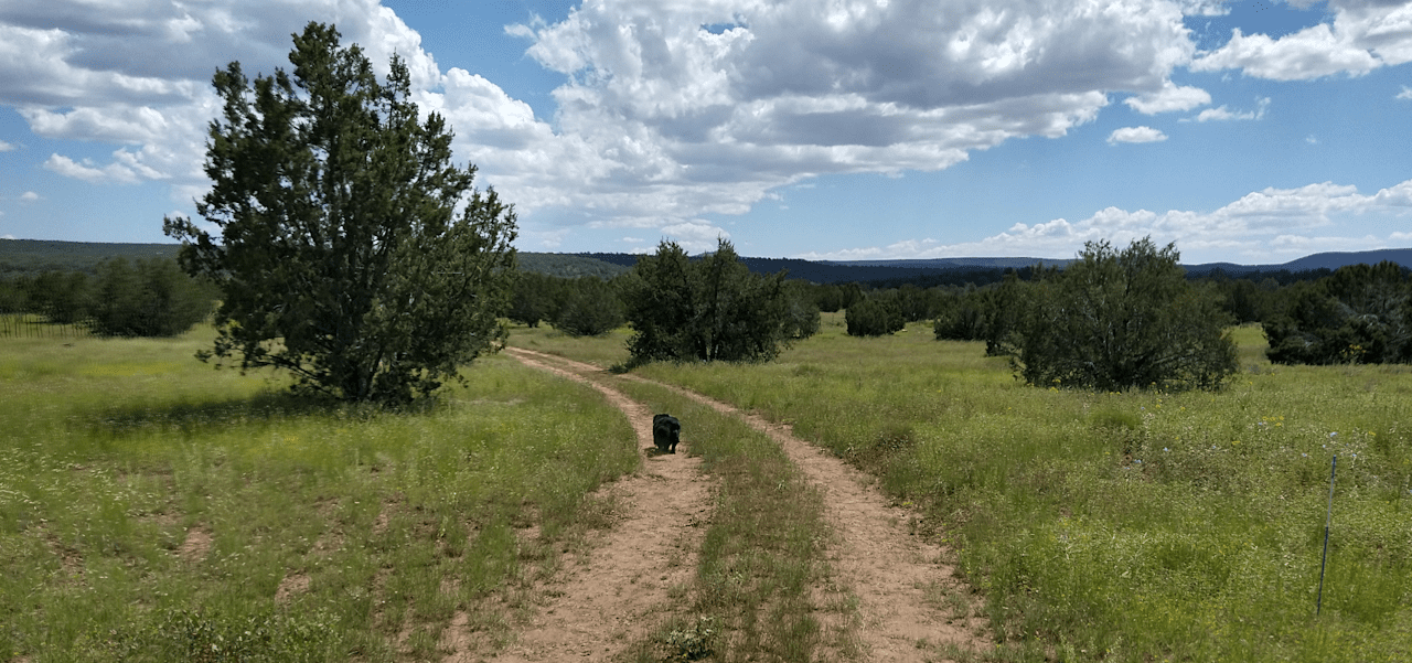 A Spark in the Dark Campground