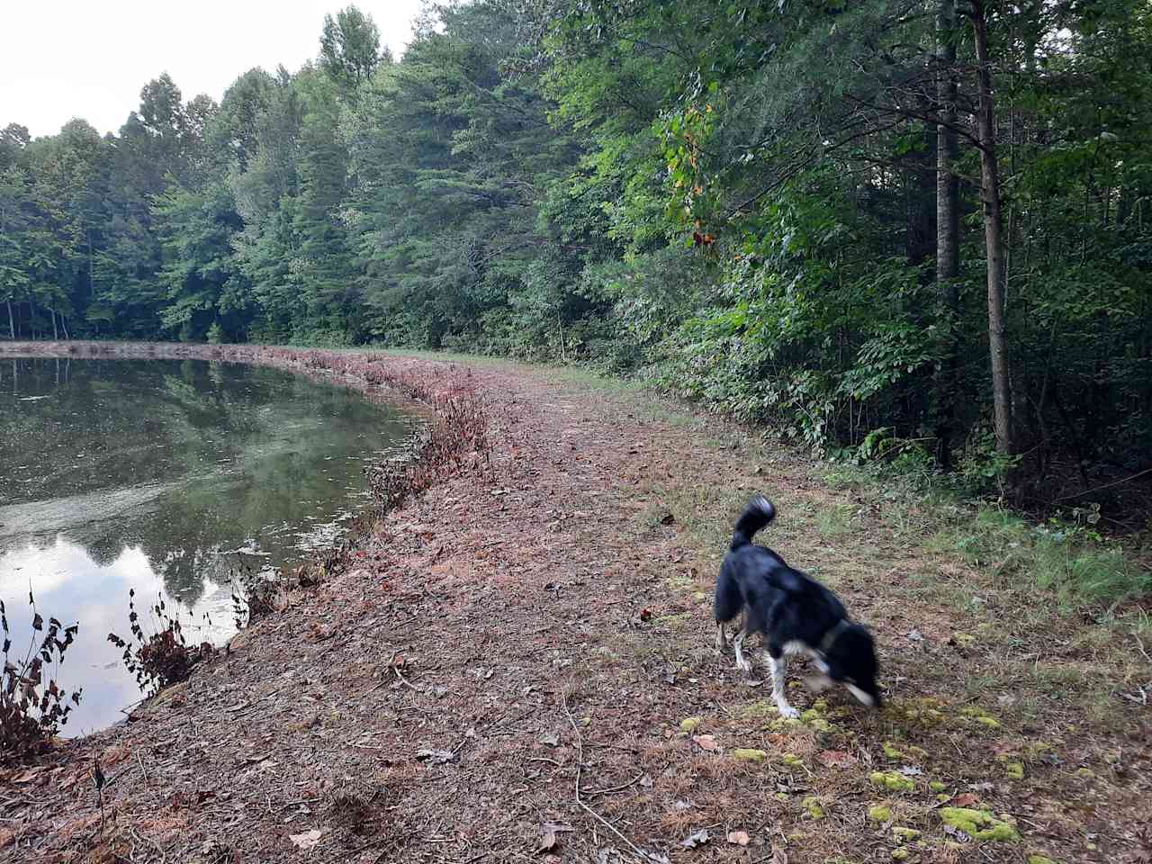 Woodybrooke Farm Campground