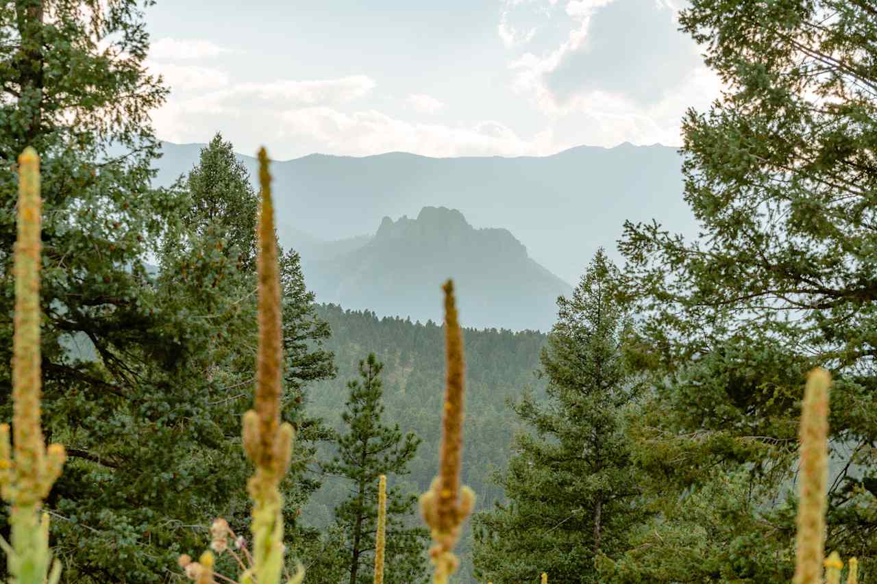 View from our hike on Little Scraggy Trail, located a quick drive from the campground. Gorgeous mountain views during golden hour!