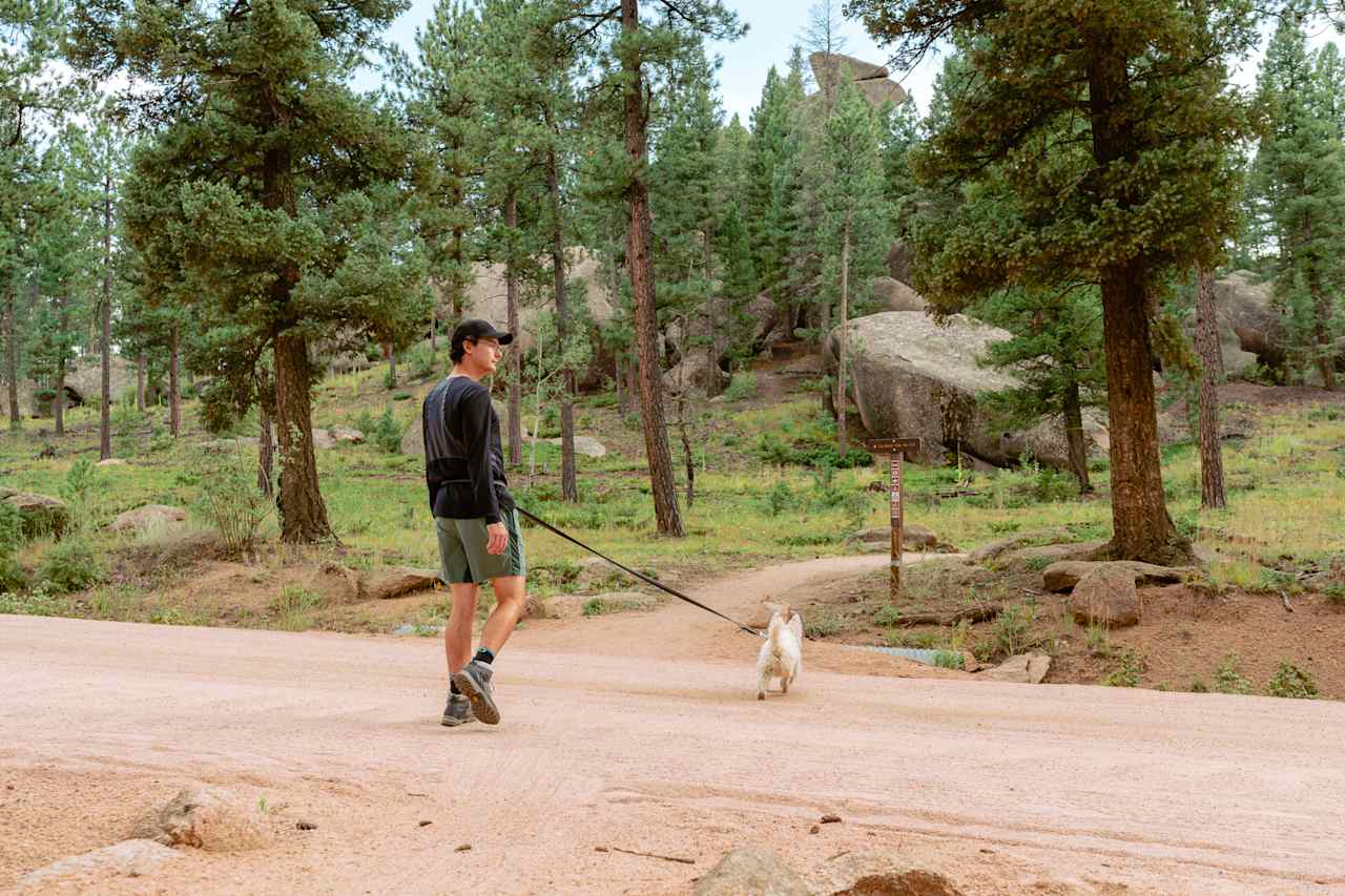 On our Little Scraggy Trail hike, you pass by multiple signs that this is part of the infamous Colorado Trail. So beautiful! This is located a short drive away from the campground.