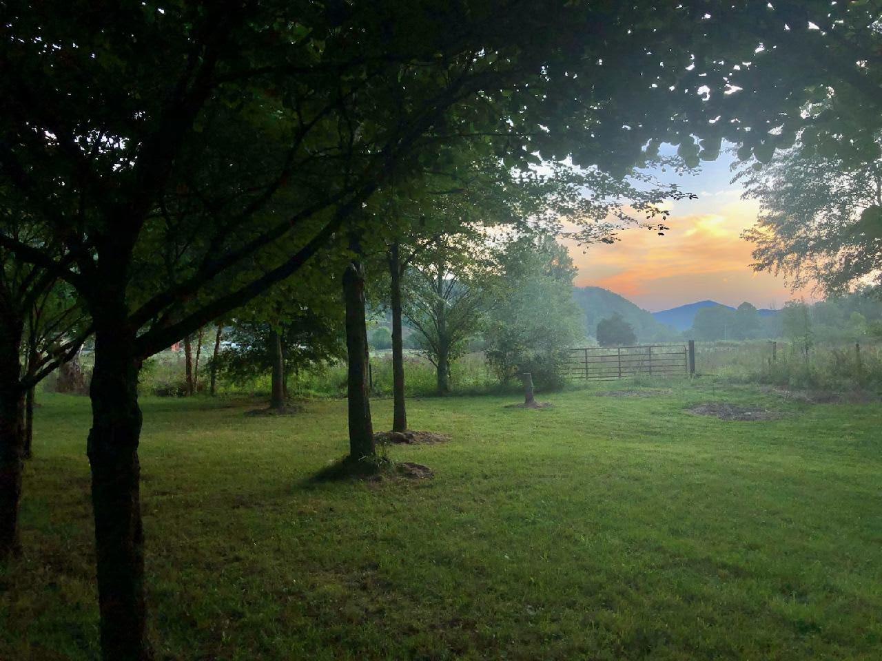 View looking down the valley by front pond.