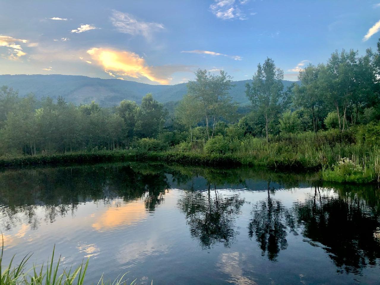 View from deck on back pond. 