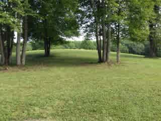 From Campsites looking up to firepit