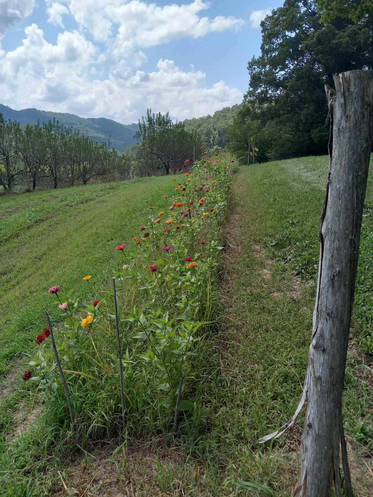 Your view at the campsite