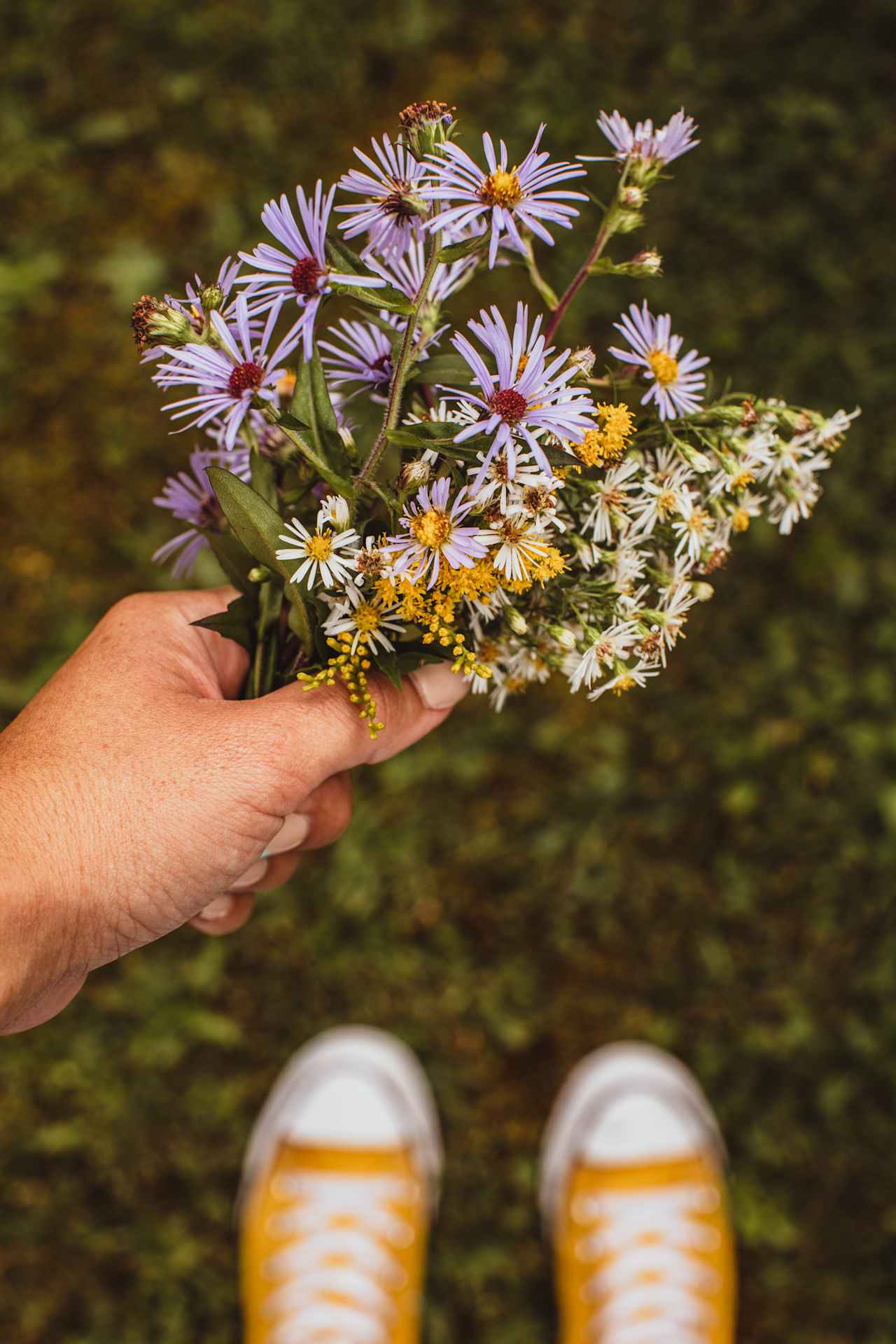 love these wild flowers