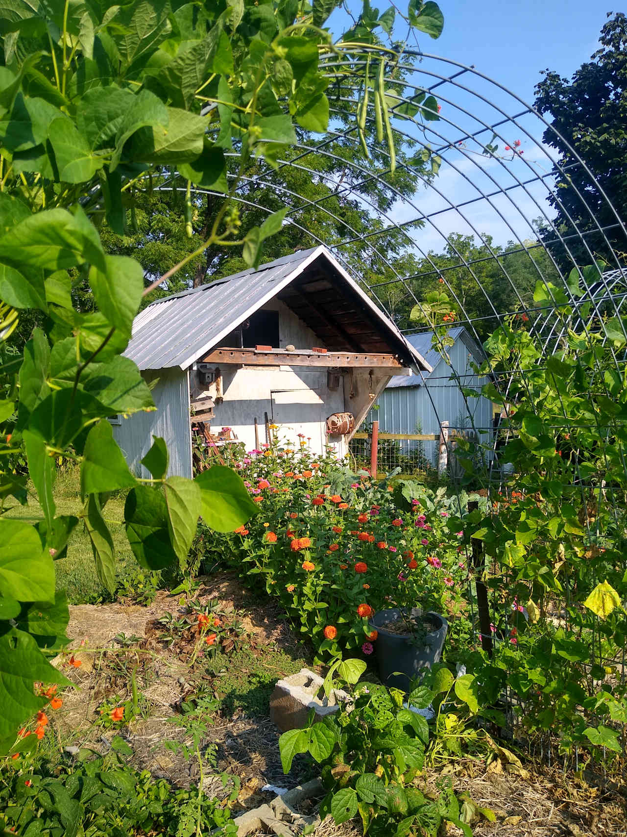 Our veggie garden and 19th century summer kitchen. 