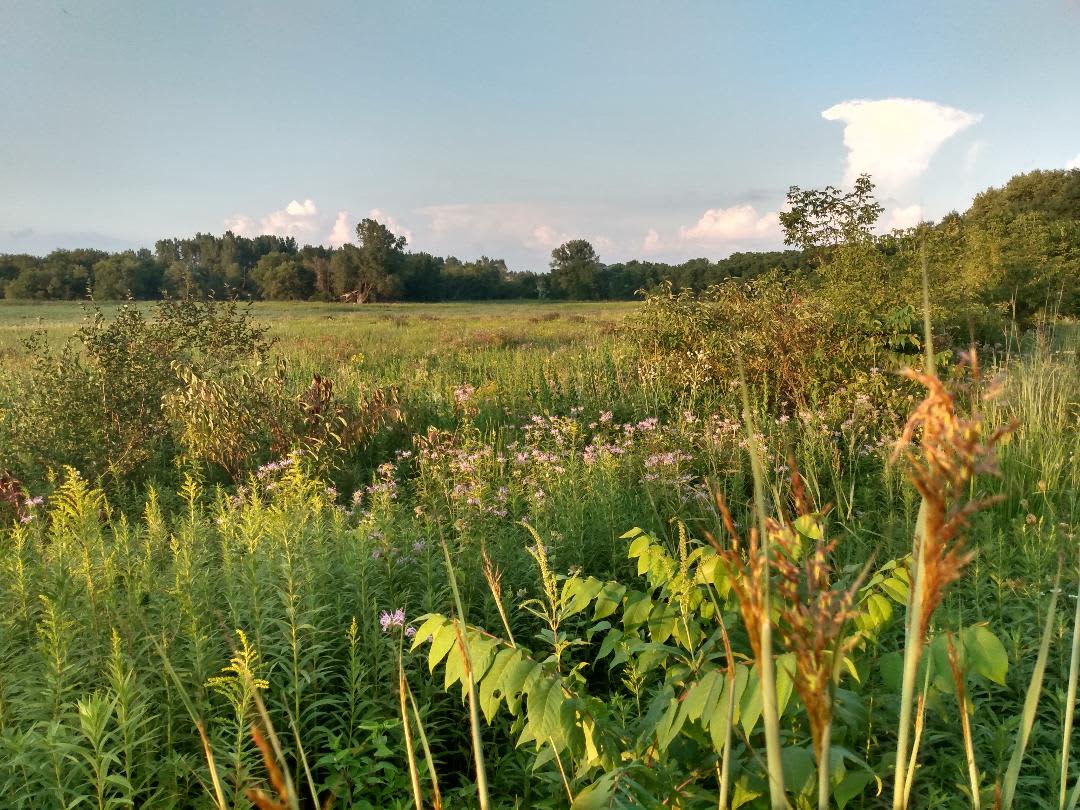 5 acre prairie 1 minute walk away