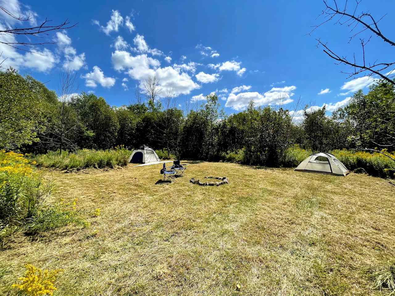 "Big Grapeline" (4B) is the companion site to "Little Grapeline" and is just around the bend. Big G offers more space at 50'x60' and lots of sunshine. (Camping gear not included with site rental.)