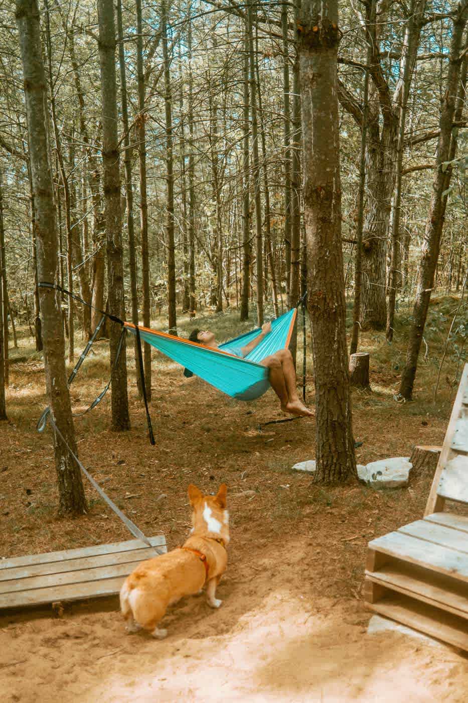 Plenty of space to set up extra hammocks on the property as well