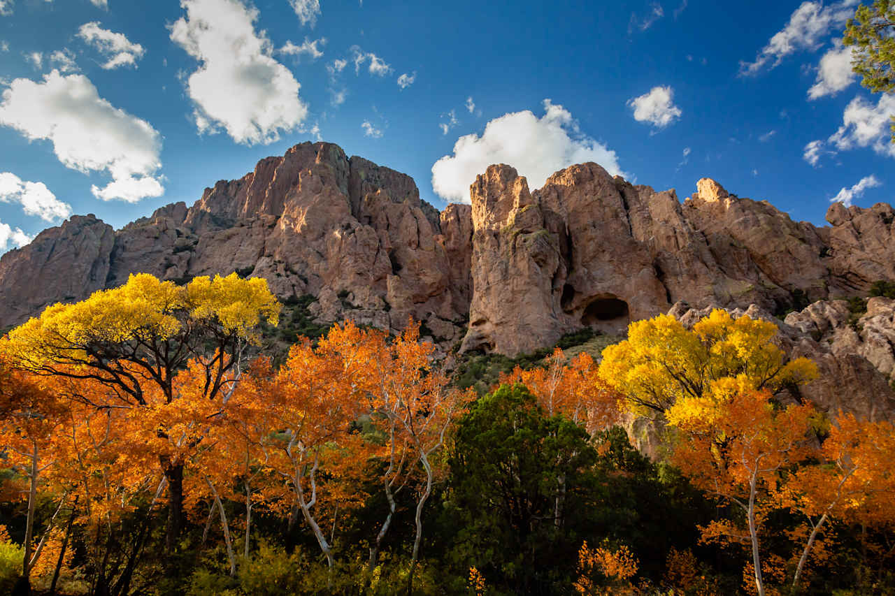 Nearby Cave Creek Canyon