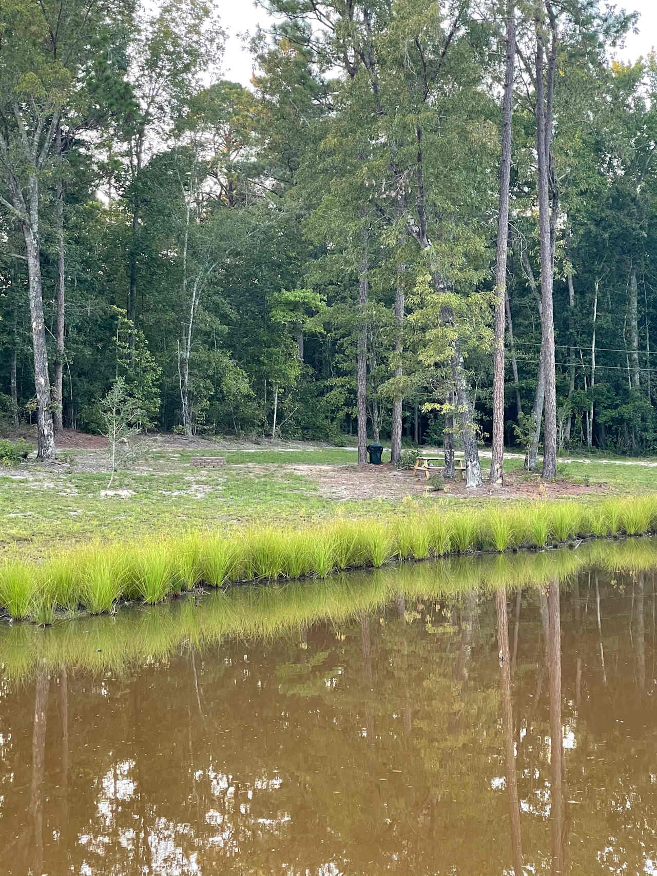 Wide view of Site 2 - Under The Trees from the dam of the pond