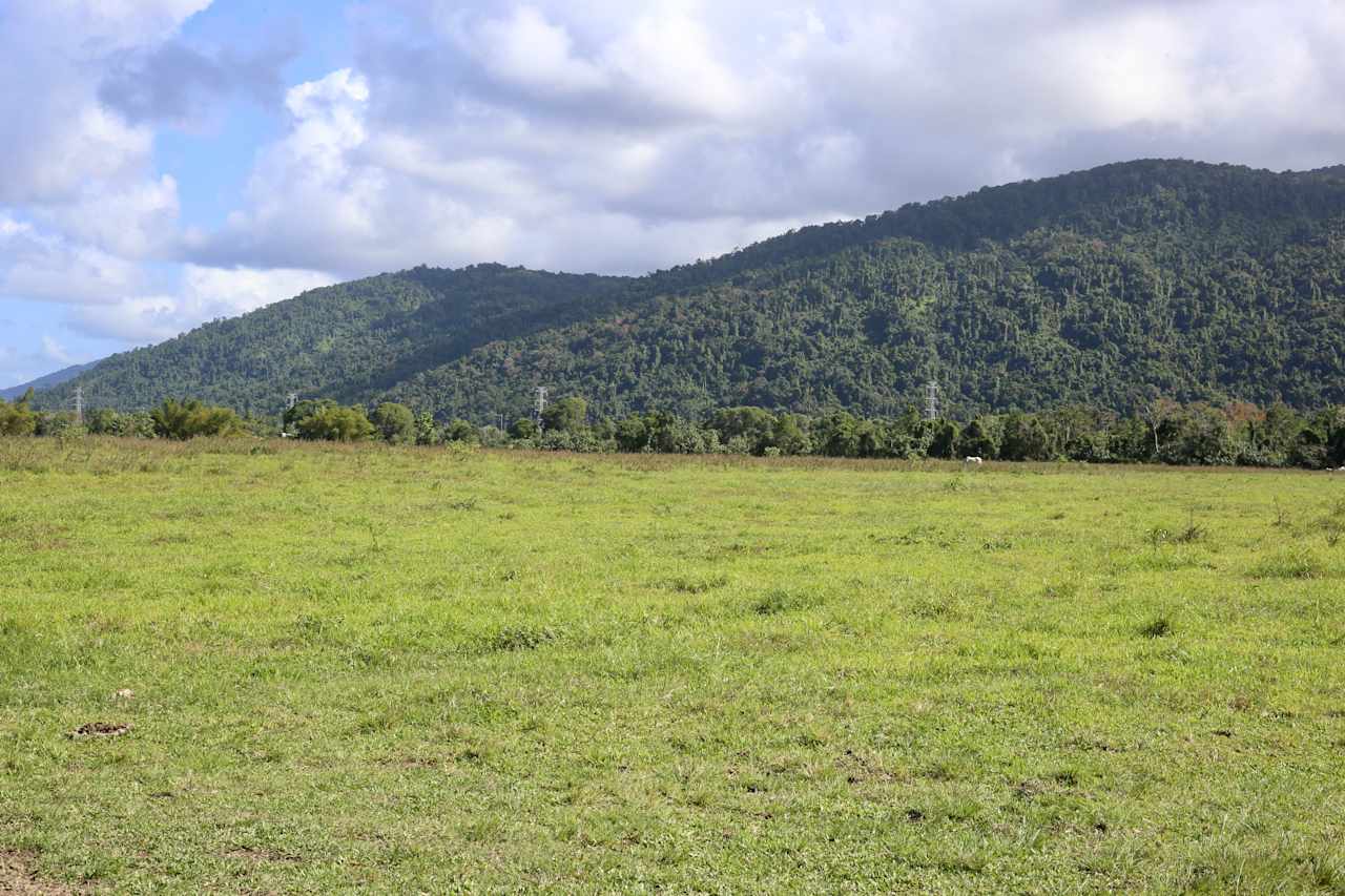 Mulgrave River Camp