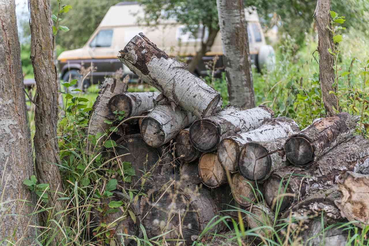 Firewood on site