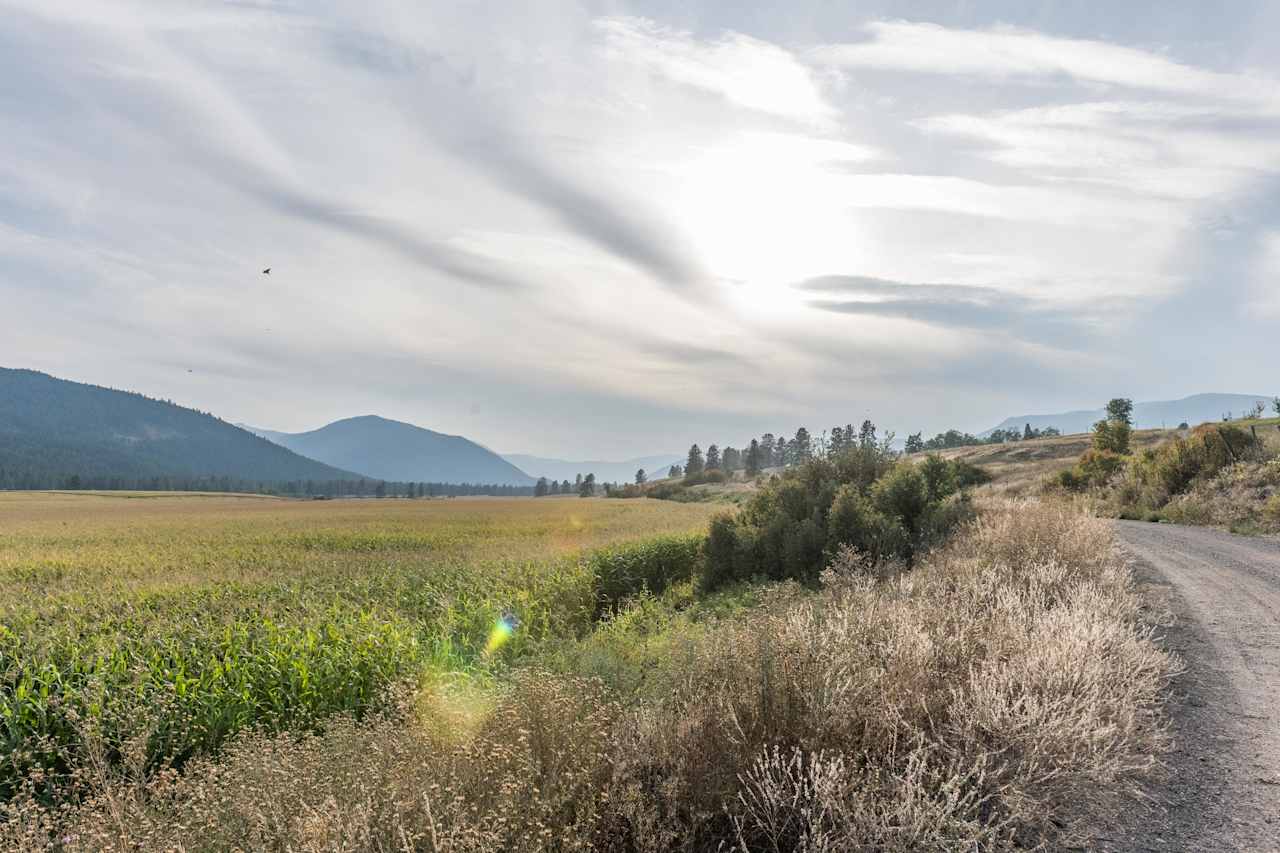 Driving up to the property