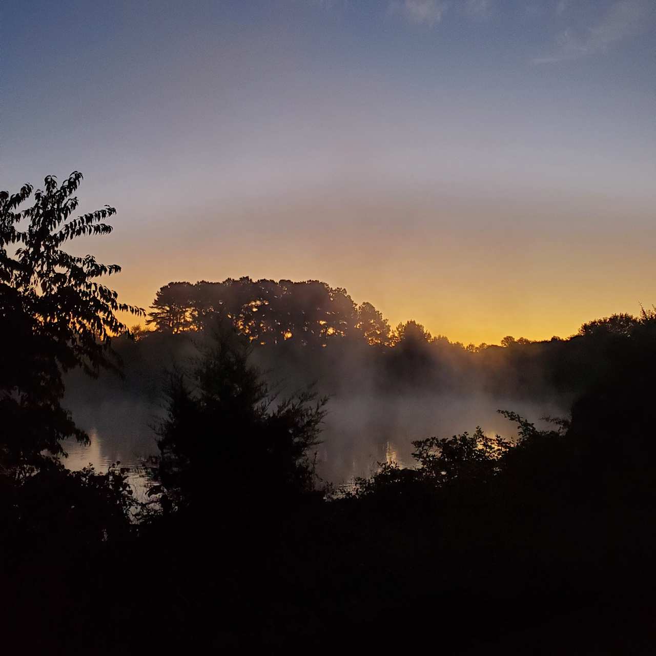 Beautiful misty morning by the pond