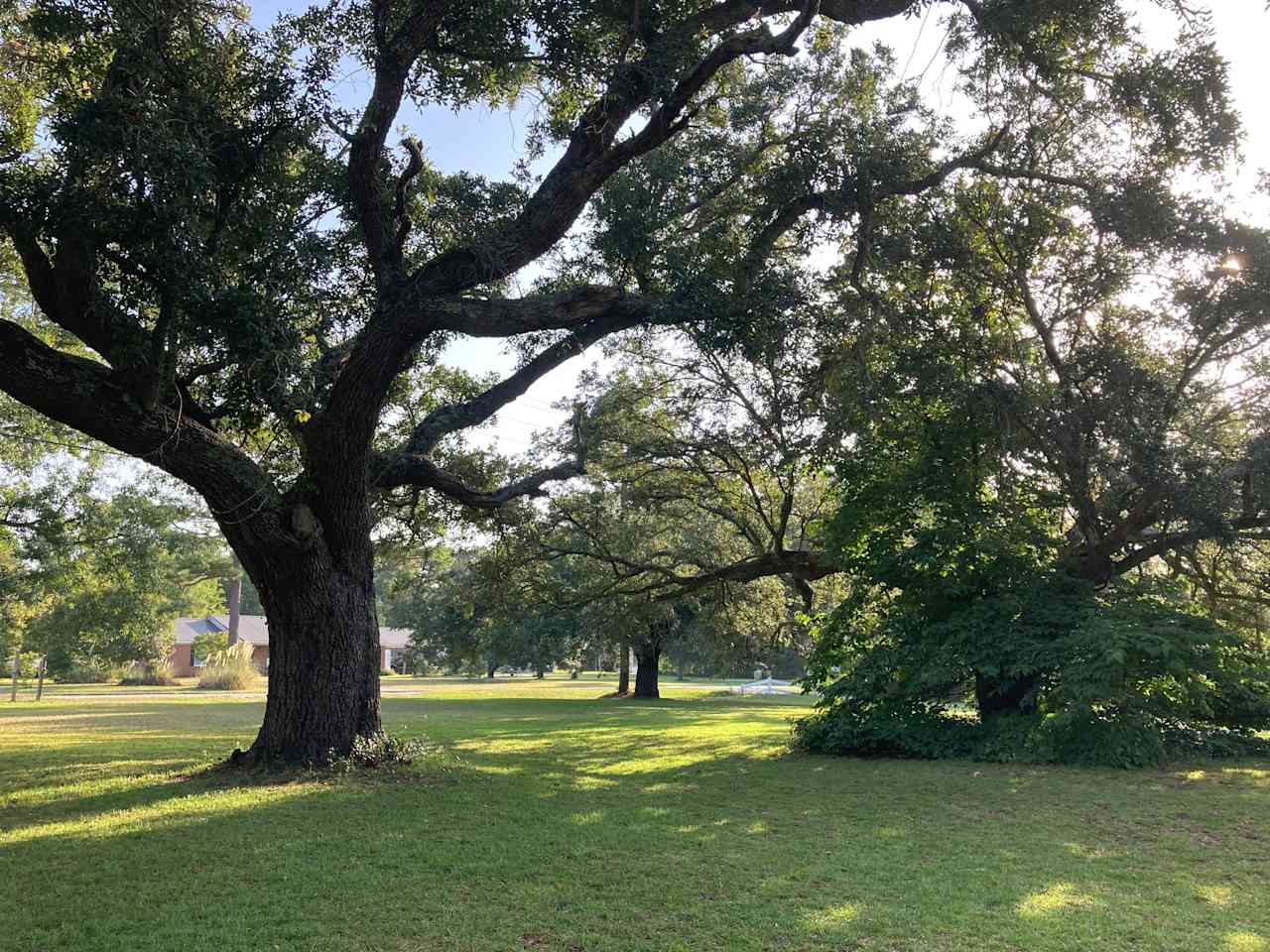 Live Oaks Farm