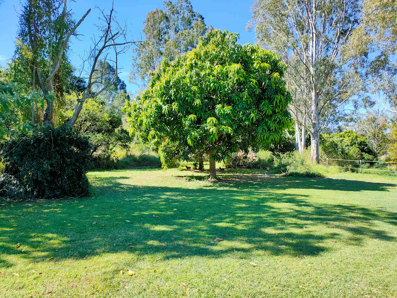 Our campsite has river views nestled amongst the mango and orange trees. Excellent spot for a couple of families or extended family to camp together.