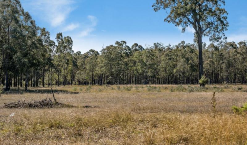 Kookaburras Kackle/Kleinton Kamping