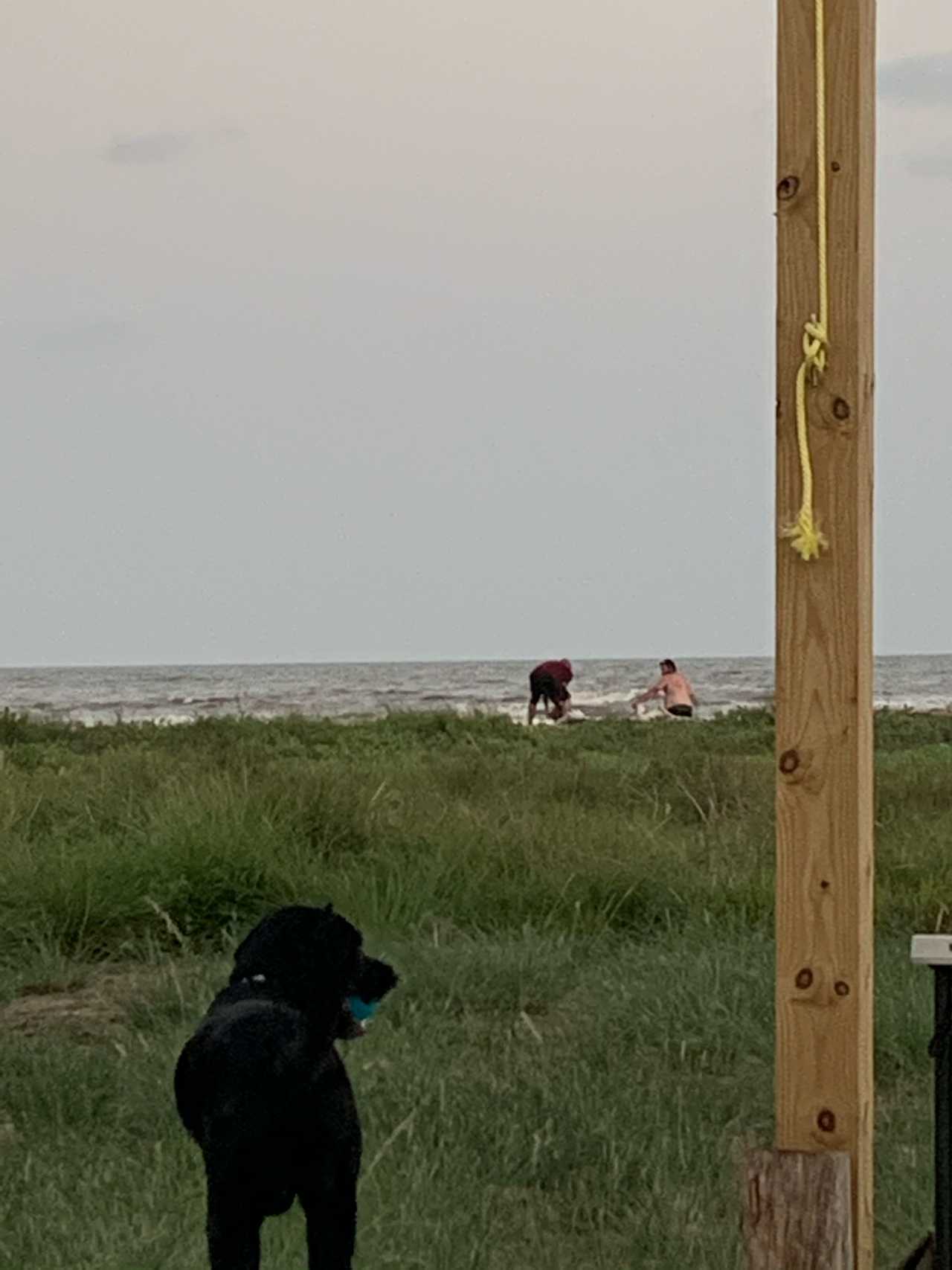 Beach view from camp