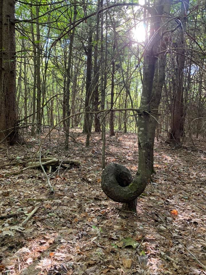 Tucked away on one of the trails