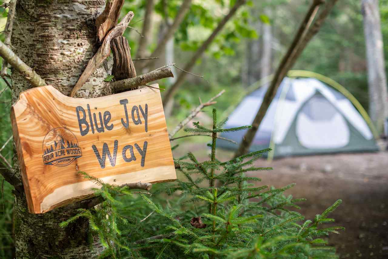 Our site for the night. Each site had a nice wooden sign with a unique driftwood sculpture.