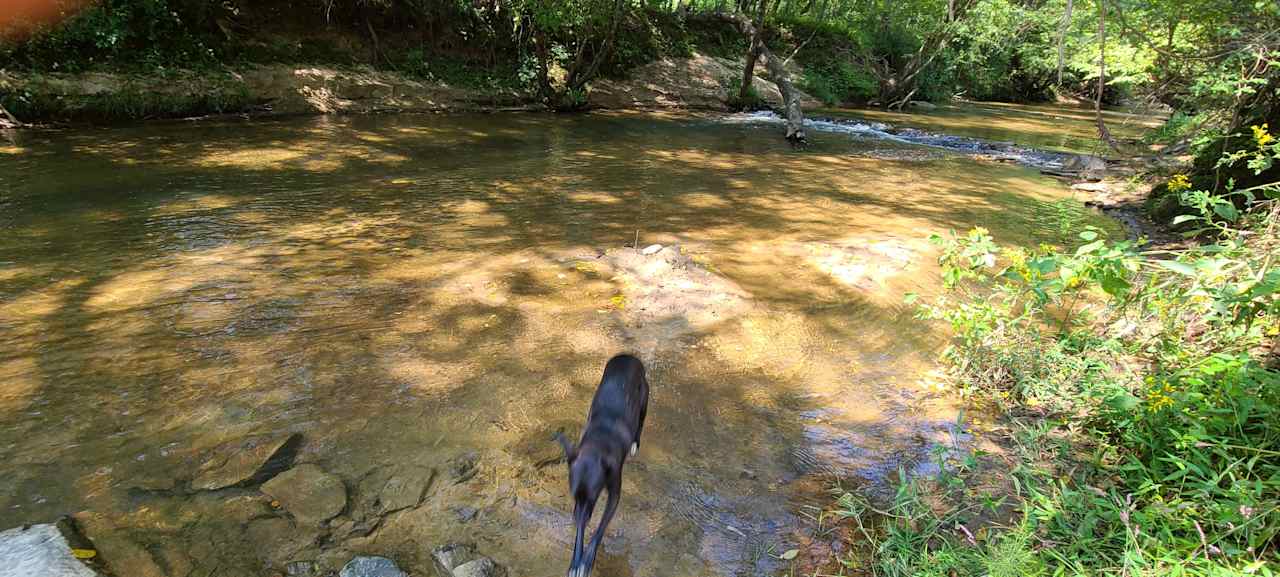 Secluded Mitchel River Camping