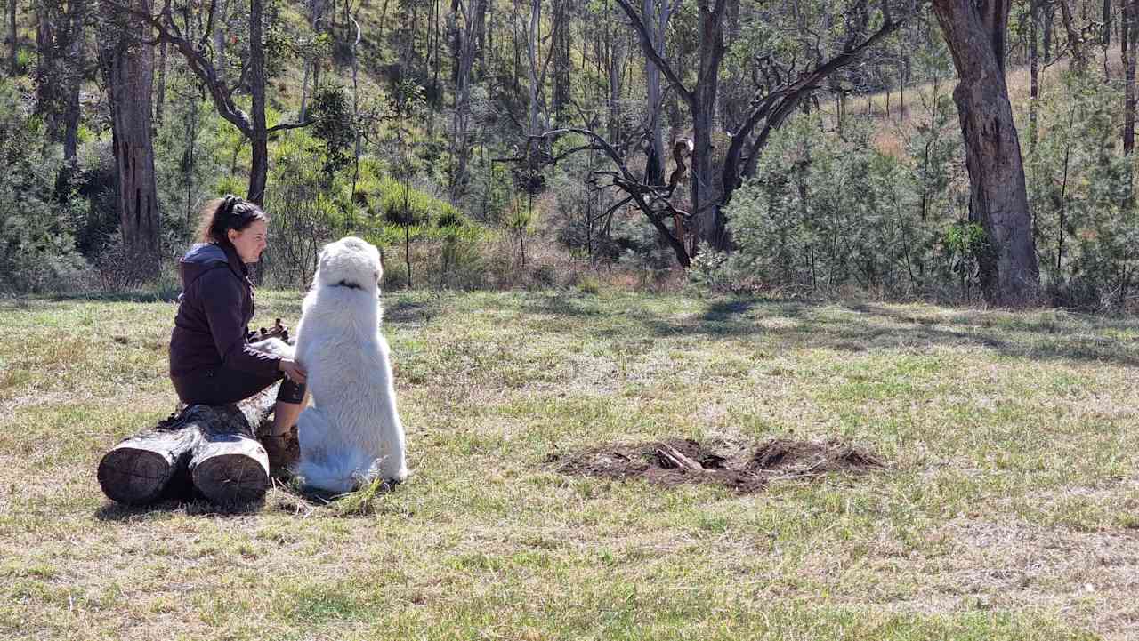 Two Creek Camp. Dog can be included on request.