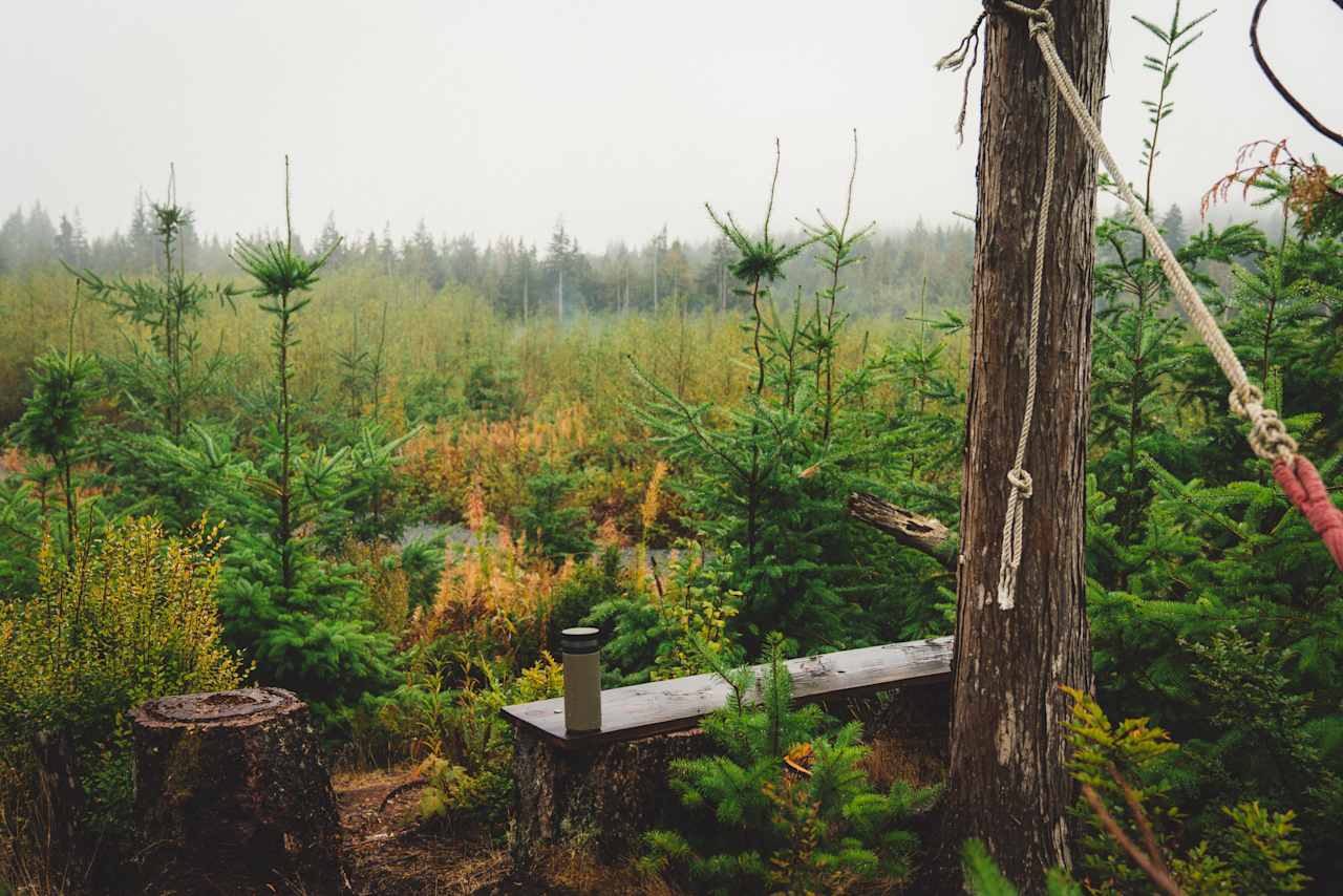 The hammock and bench atop the small hill steps from the sites are a great place to relax and enjoy the forest views. 