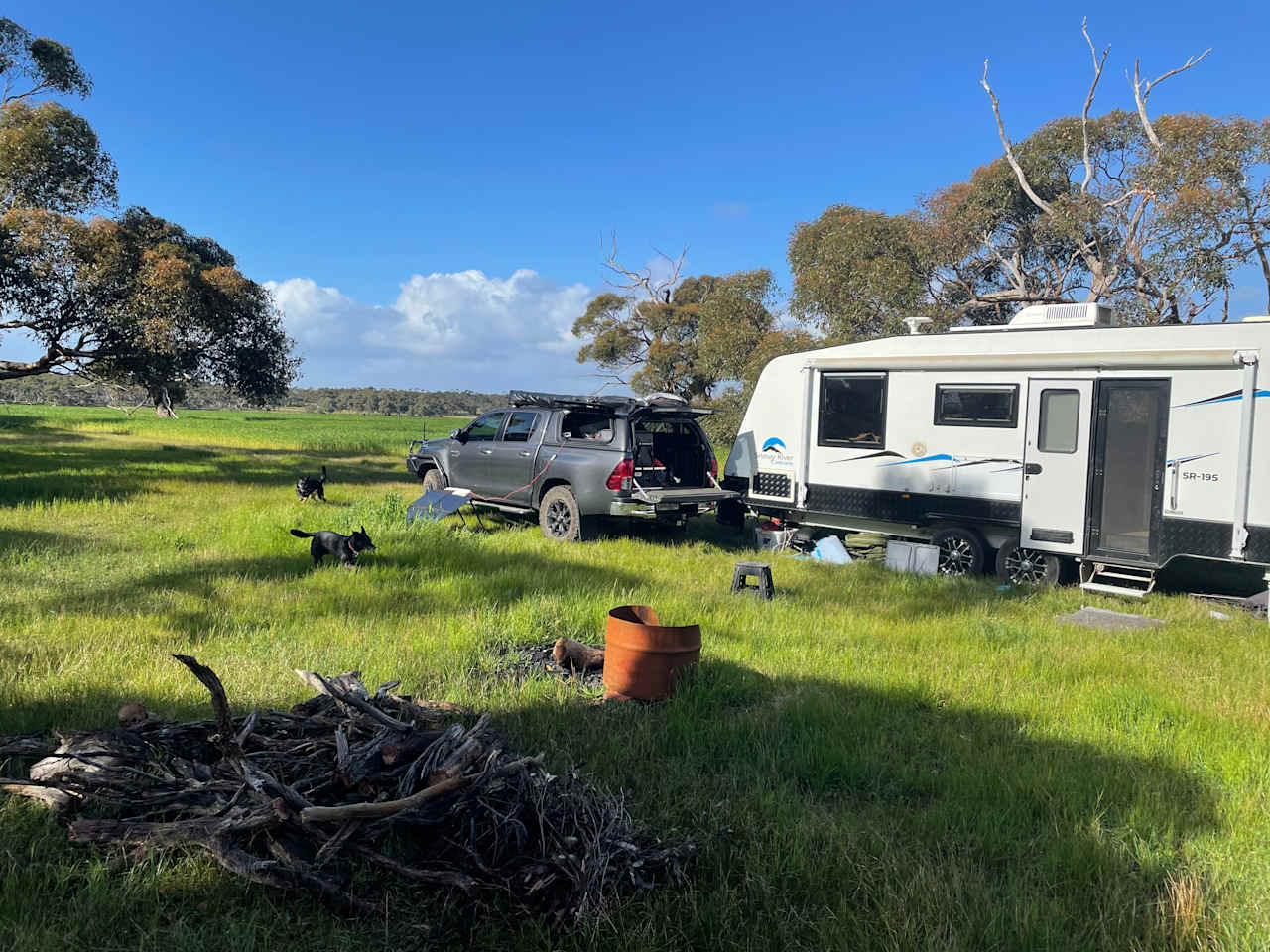 Coomunga Wines