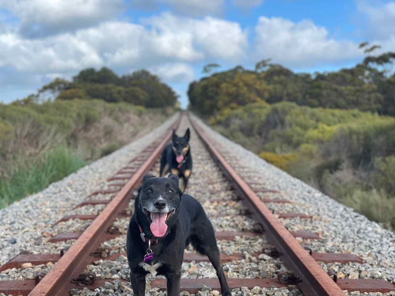 Disused rail line next to property great for a hike