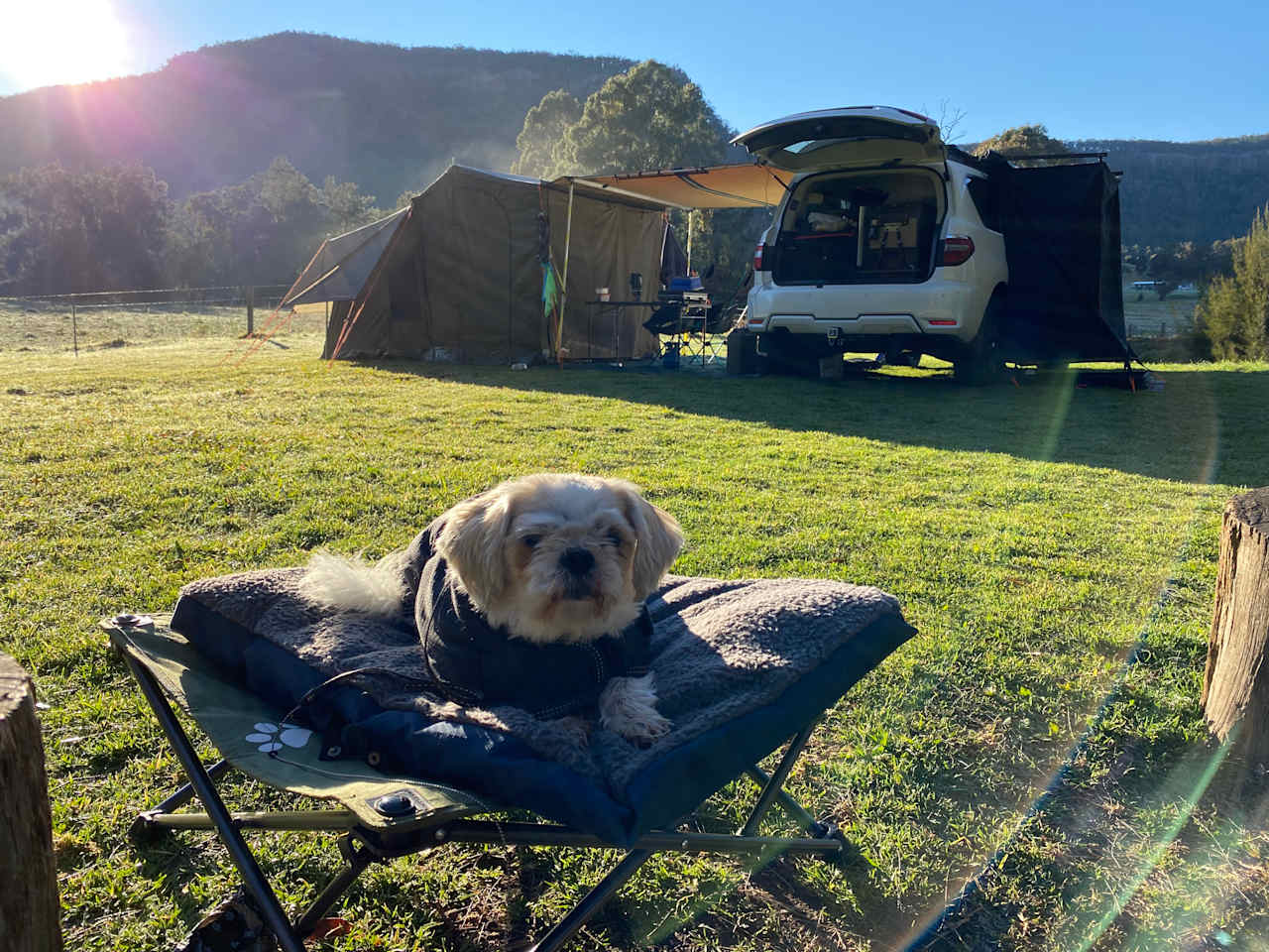 Dog friendly spot. Being a working cattle farm you just need to not let your dog annoy the cattle. They were great with our little old dog. All got along well. 